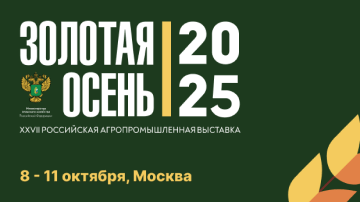 Золотая осень — 2025