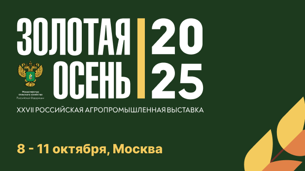 Золотая осень — 2025